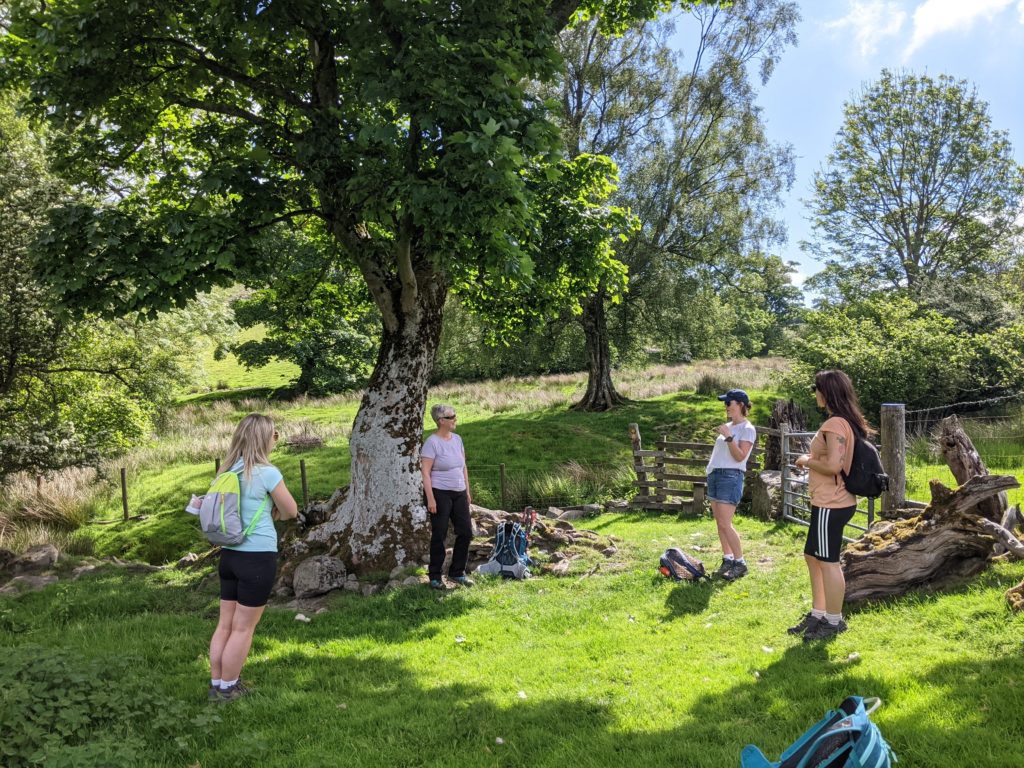 Enjoy a social rural walking break in North Wales with an introduction to practicing mindfulness
